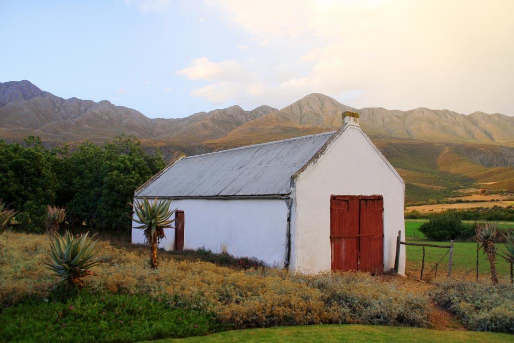 בית הארחה Matjiesrivier  	Swartberg Country Manor מראה חיצוני תמונה