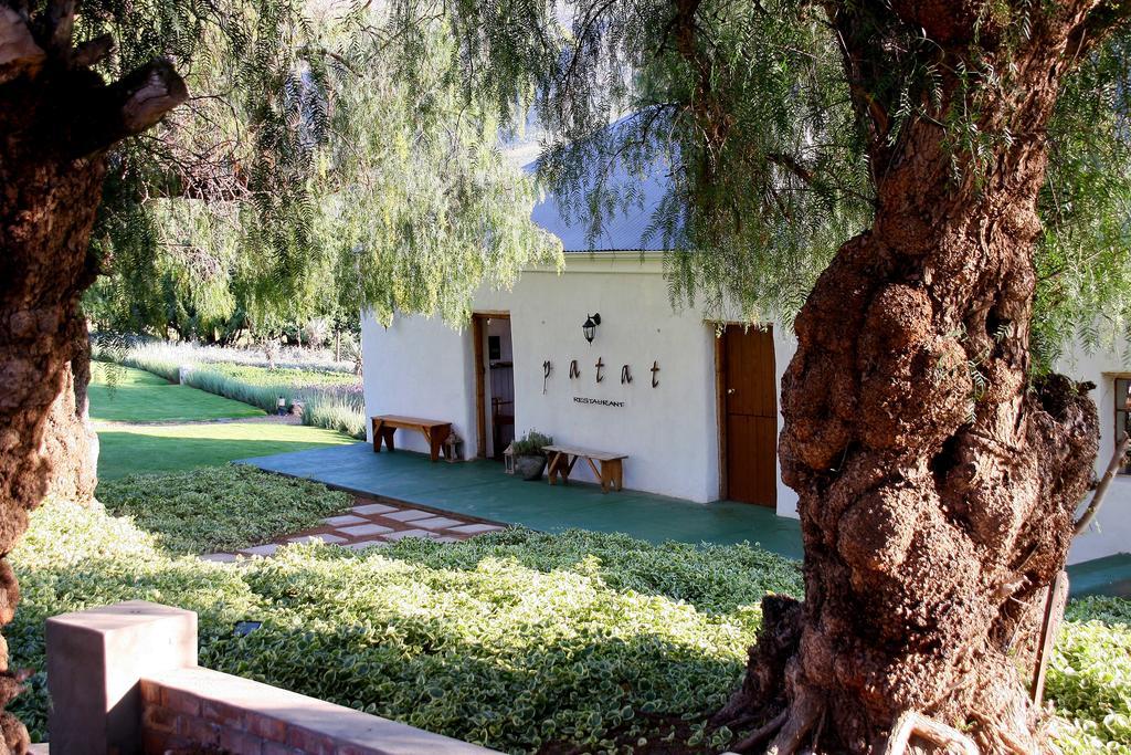 בית הארחה Matjiesrivier  	Swartberg Country Manor מראה חיצוני תמונה