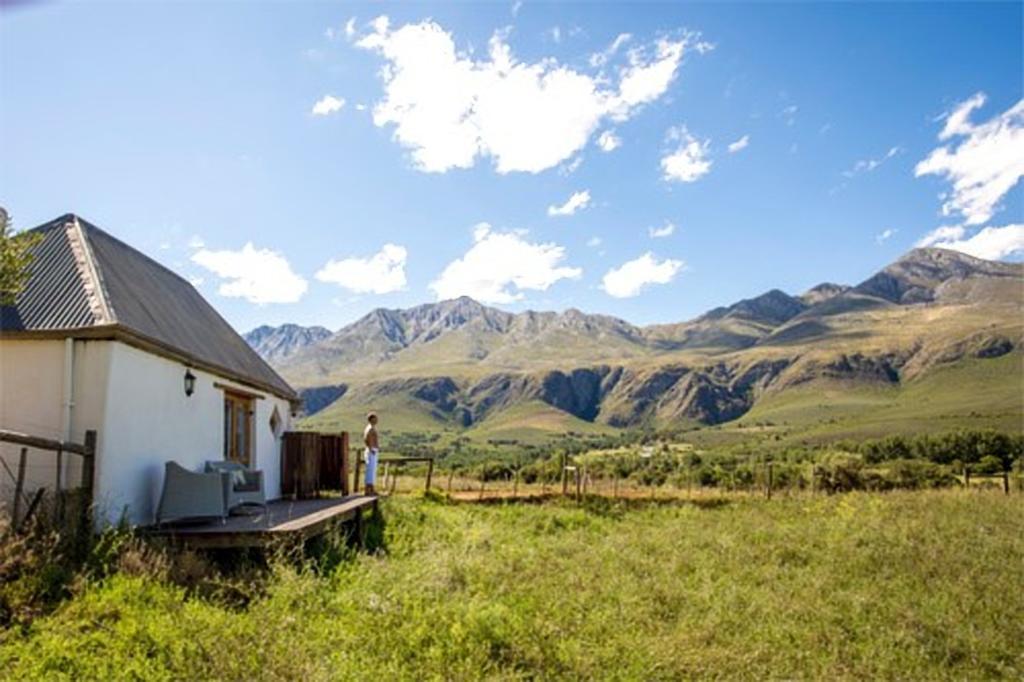 בית הארחה Matjiesrivier  	Swartberg Country Manor מראה חיצוני תמונה
