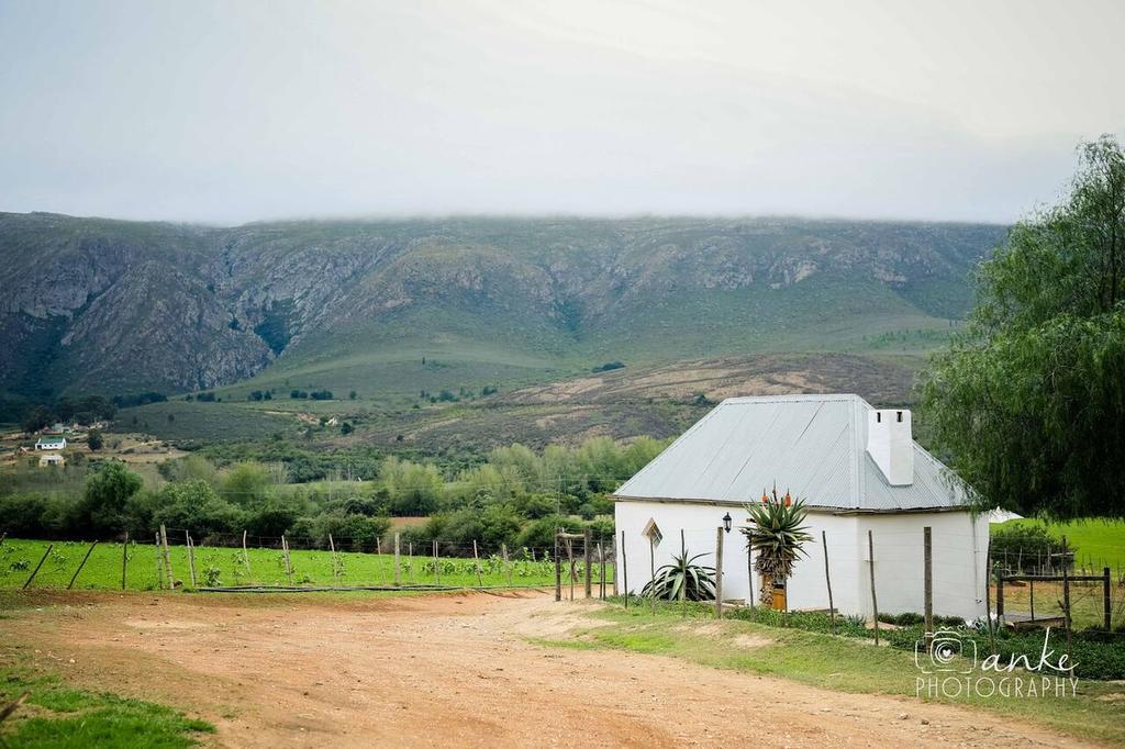 בית הארחה Matjiesrivier  	Swartberg Country Manor מראה חיצוני תמונה
