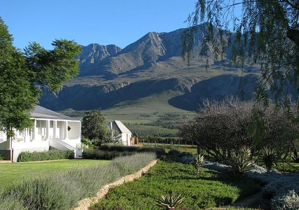 בית הארחה Matjiesrivier  	Swartberg Country Manor מראה חיצוני תמונה