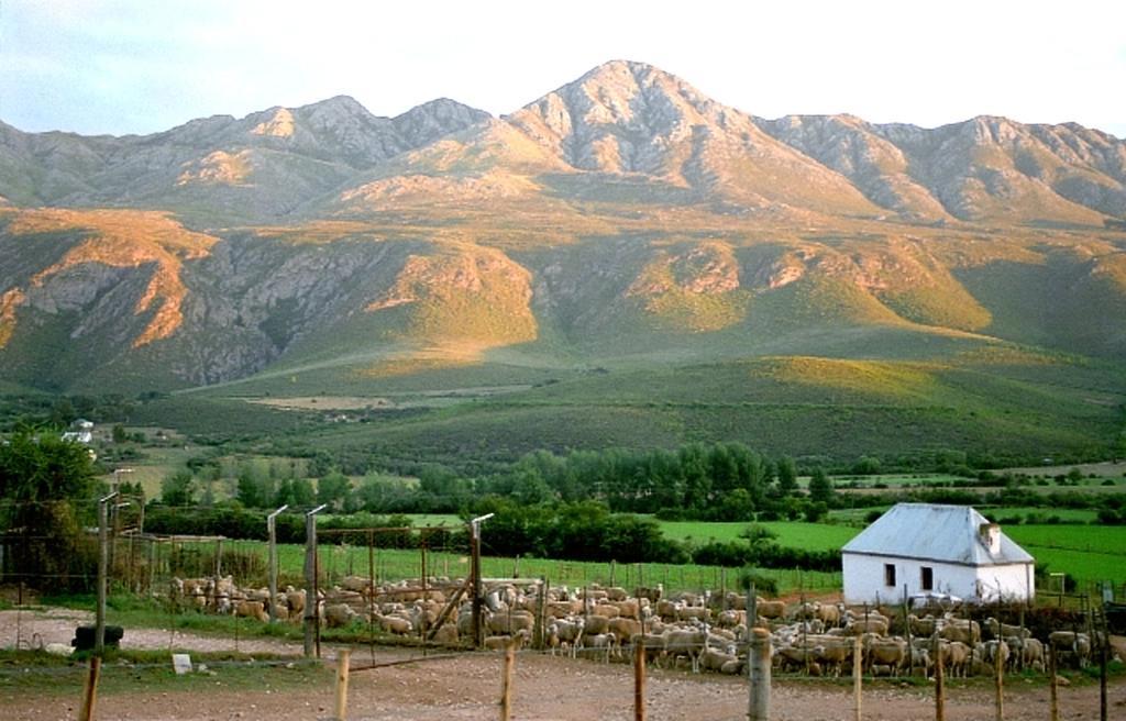 בית הארחה Matjiesrivier  	Swartberg Country Manor מראה חיצוני תמונה