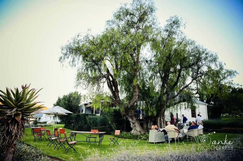 בית הארחה Matjiesrivier  	Swartberg Country Manor מראה חיצוני תמונה